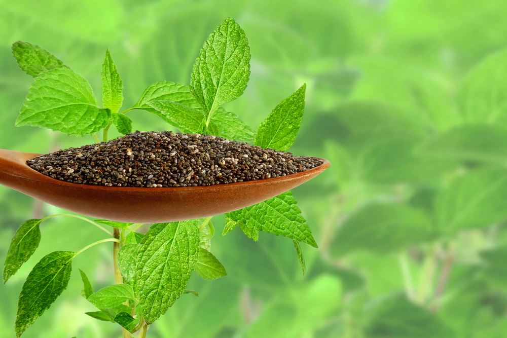 Chia Seeds Background